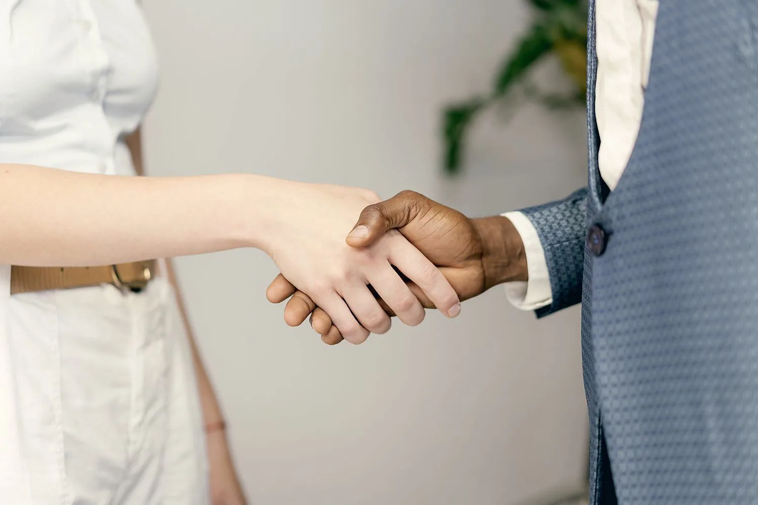 A welcoming handshake between two professionals